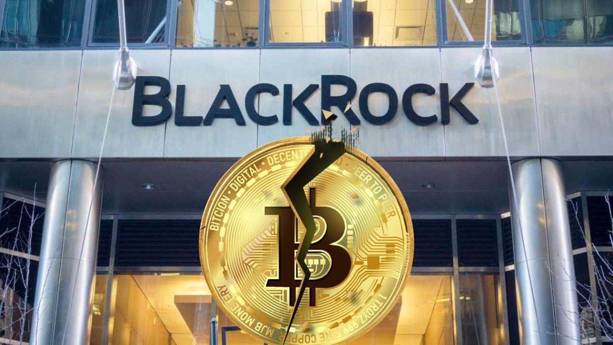 المؤسس المشاركة لشركة Bitmex: شركة BlackRock ستكتب نهاية البيتكوين!