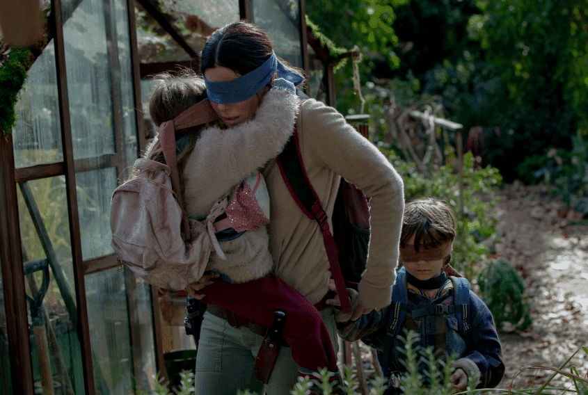 فيلم the bird box