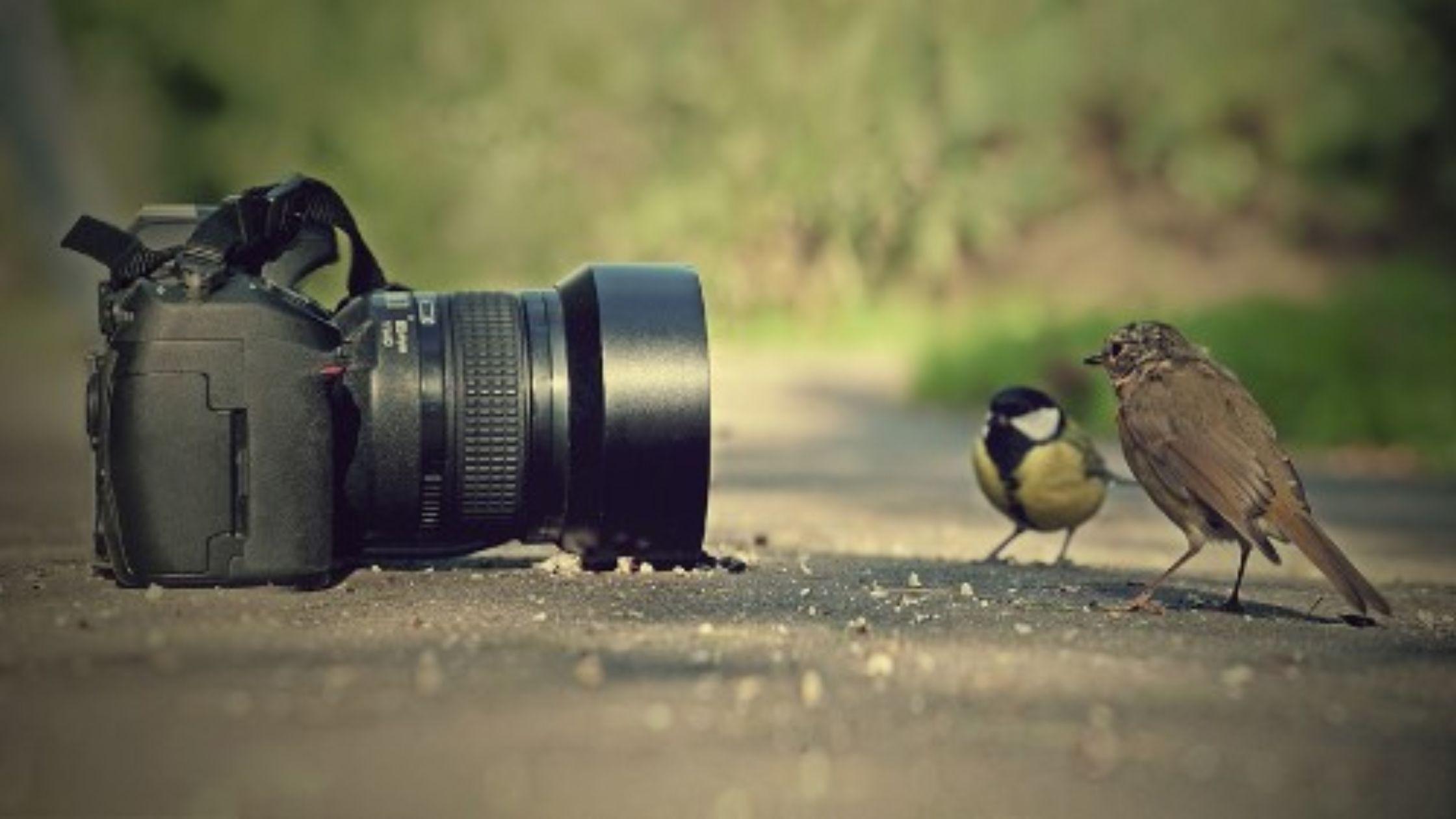 إلى المصورين وهواة التصوير الفوتوغرافي: 10 مشاريع تصويرية تجعل من جلوسك في المنزل أمرًا أكثر متعة