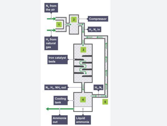 كيف يتم تصنيع غاز الأمونيا؟