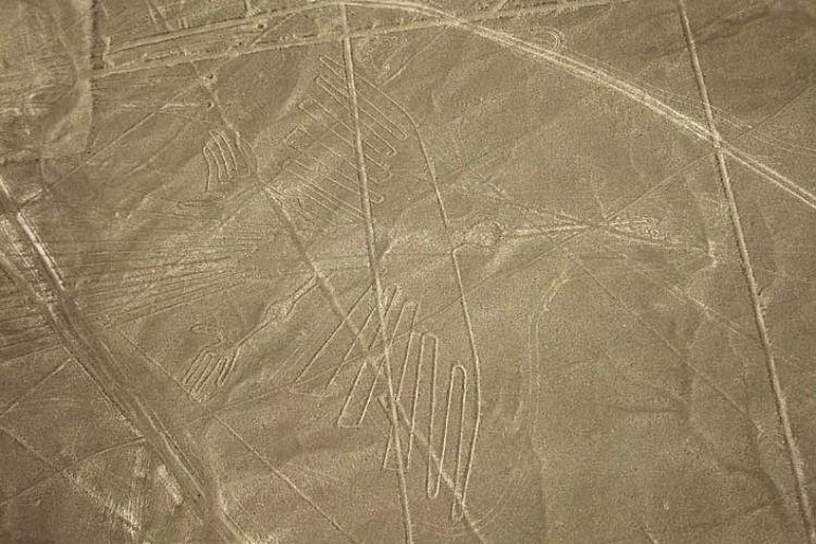 nazca-4