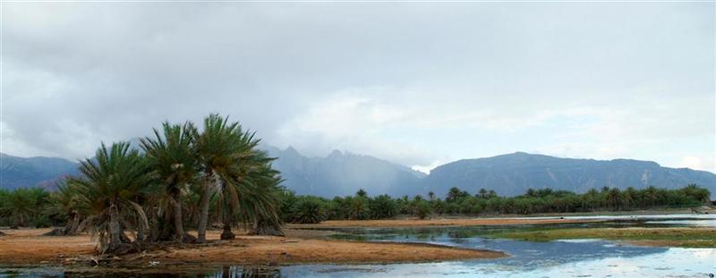 سقطرى