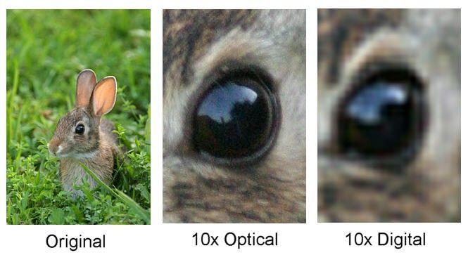 digital_zoom_vs_optical_zoom