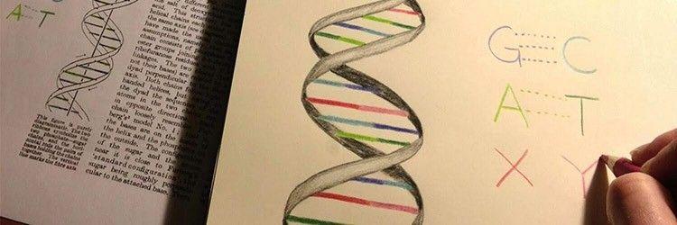 dna