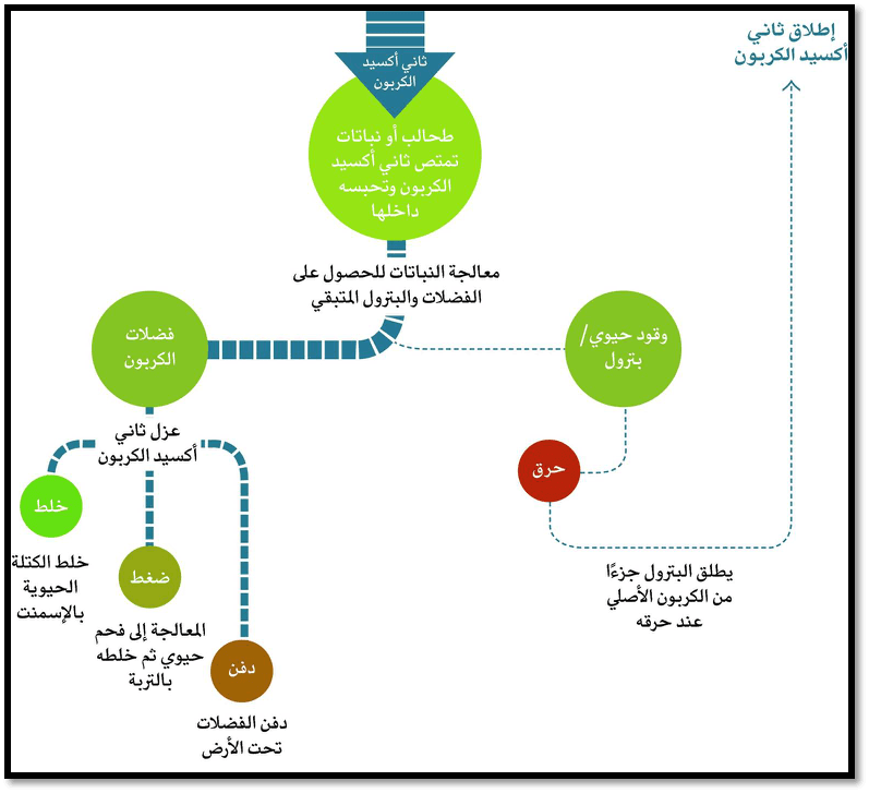 الوقود الحيوي