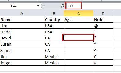 إخفاء بعض البيانات - Microsoft Excel