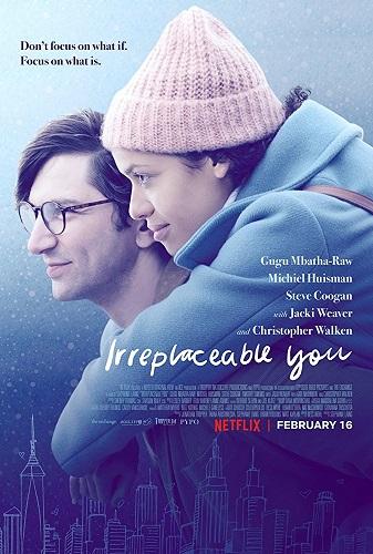 Irreplaceable You بوستر