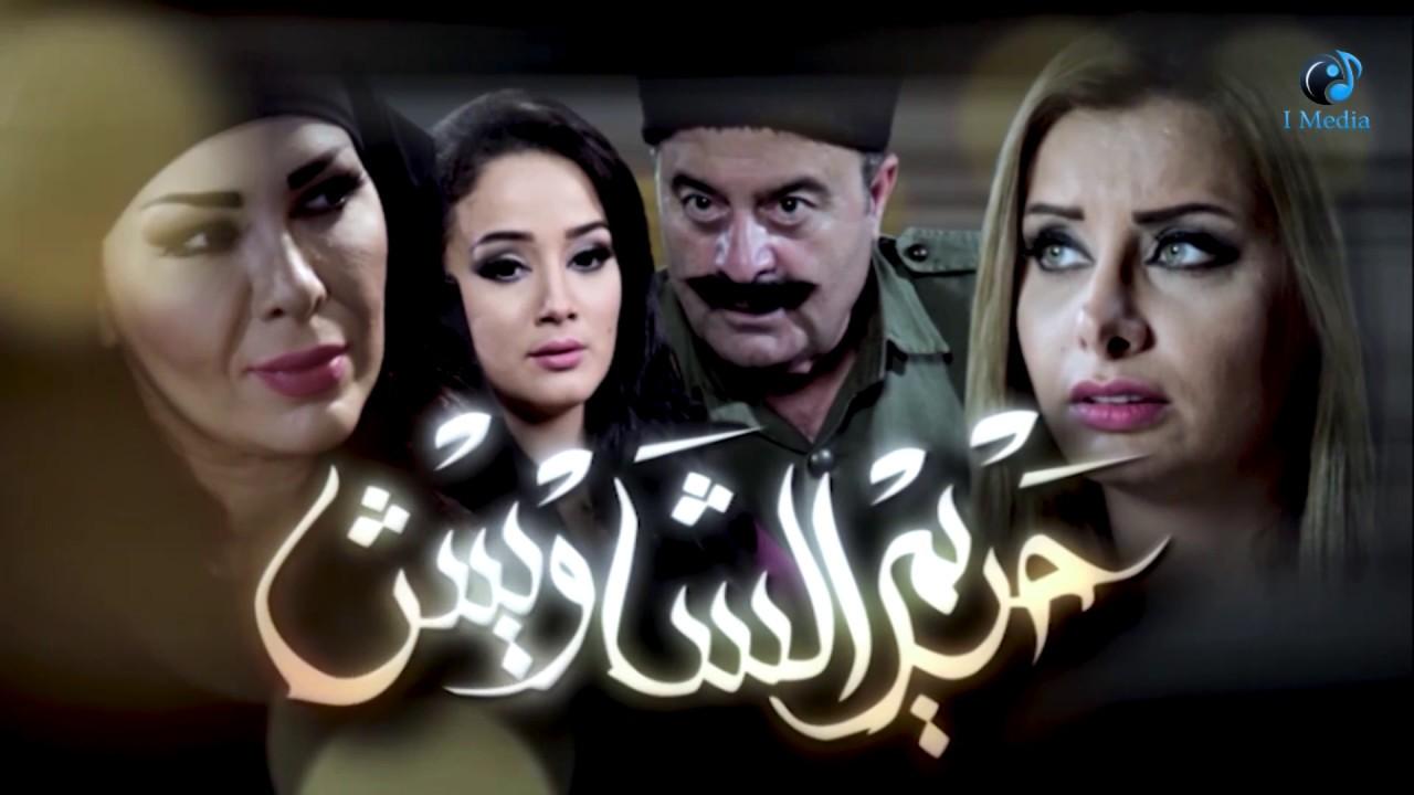 مسلسل حريم الشاويش