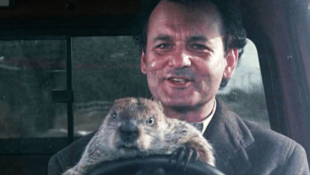 Groundhog day فيلم - أفلام كوميدية