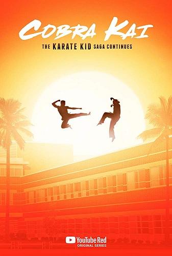 Cobra Kai بوستر - أفضل مسلسلات 2018