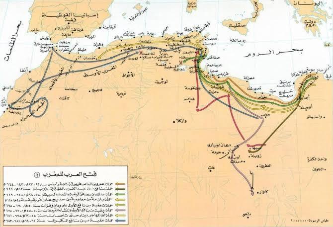 شمال إفريقية 