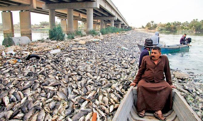 جودة مياه نهر الفرات