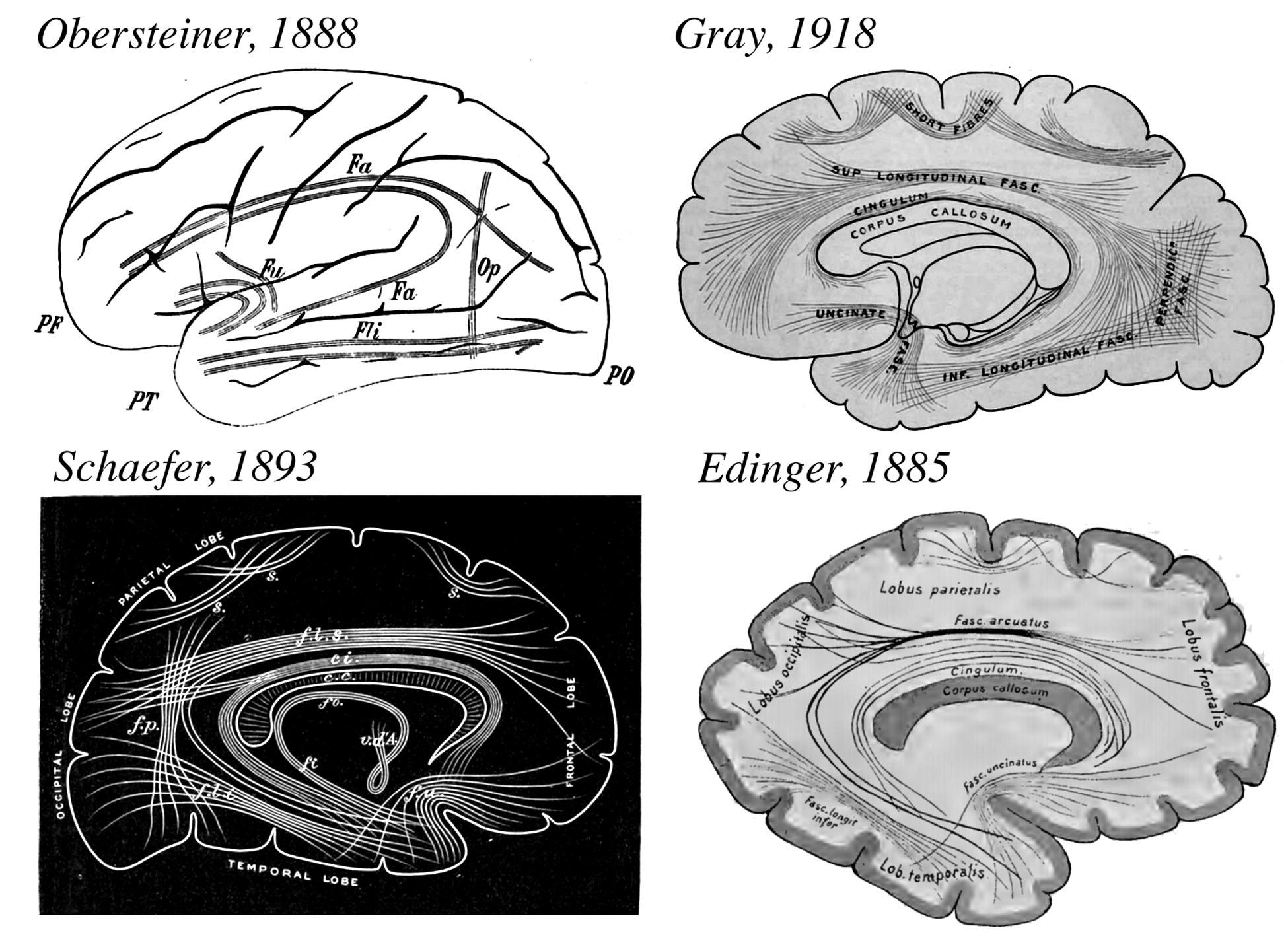 Figure3_revised